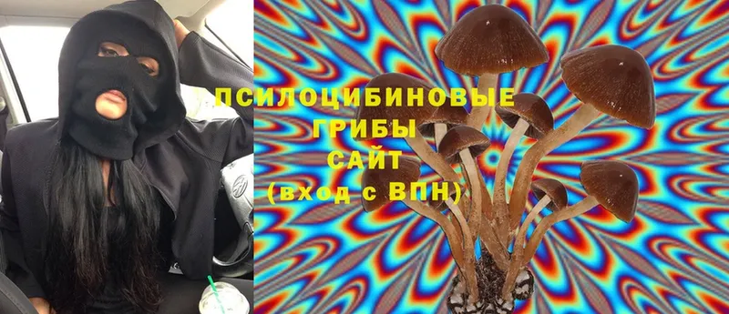 omg ONION  сколько стоит  Северодвинск  Псилоцибиновые грибы Cubensis 