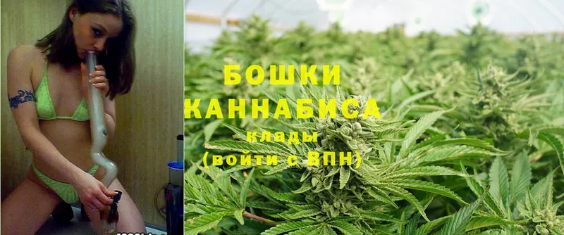 купить  цена  Северодвинск  Бошки Шишки THC 21% 